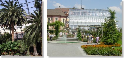 Das Palmenhaus auf der Insel Mainau