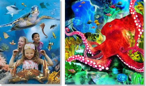 Sea Life Konstanz