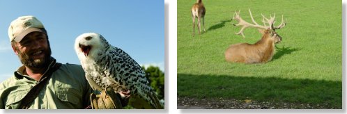 Wild- und Freizeitpark Allensbach 