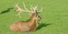 Wild- und Freizeitpark Allensbach 