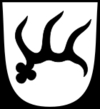 Münsingen auf der schwäbischen Alb