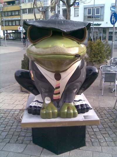 Die Laupheimer Laupfrösche