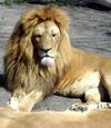 Zoologisk Have 