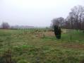 Baugrundst�ck in 2-ter Reihe, Am Wei�enmoor von 21726 Oldendorf/Stade