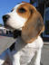herr_k�hl_www