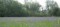 Eriskirch am Bodensee...