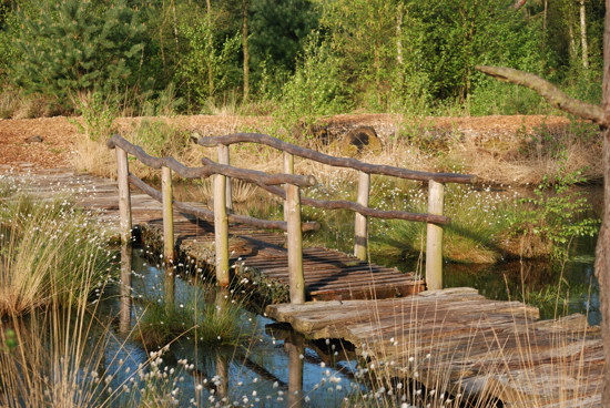 Bekanntschaften rotenburg wumme
