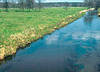 Die Rieselwiese auf dem Wiedenhof bei Lüllau
