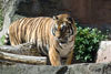Der Zoo Frankfurt