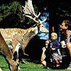Wildpark Meißner-Germerode