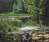 Frau Holle Teich