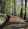 Grabentour von Krummenhennersdorf nach Reinsberg