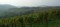 Der Ahrwein