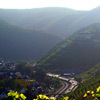 Rotweinwanderweg