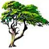 �KOrinde