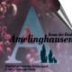 Samtgemeinde Amelinghausen