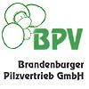 Brandenburger Pilzvertrieb GmbH - Erzeugerorganisation im Land Brandenburg