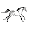 Keidel Ranch & Ponyhof Behrenbruch