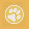Hundephysiotherapie 