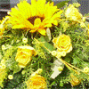 DER Blumenladen Bautzen  Inh. K. Beier