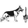 TIERSCHUTZVEREIN e.V.