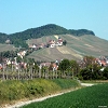 Ferienwohnung Fritz Brosi