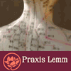 Akupunktur Berlin | Praxis Lemm | Ern&auml;hrungsberatung | Naturheilpraxis, Berlin, Chinese Medicine