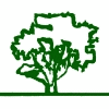 Baumschule Marzahna Handels GmbH, Treuenbrietzen, Tree Nursery