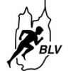 Bautzener LV "Rot-Wei&szlig; 90" e.V., Bautzen, Club 