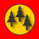 BIRK Holz GmbH & Co.KG, Treuenbrietzen, T&oslash;mmerhandel