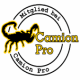 Camionpro e.V. Berufsverband
