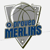 Crailsheim MERLINS