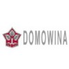 Domowina, Bautzen, Vereniging