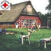 DRK Kindergarten Neu Sankt Jürgen