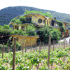 F�rsters Wein-Terassen, Bad Neuenahr-Ahrweiler, zajazd