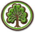 Gemeindeverwaltung Bertsdorf-H&ouml;rnitz, Bertsdorf-H&ouml;rnitz, Kommune