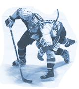 Hamburg Freezers, Hamburg, Verein