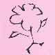 Heckenrose e. V.