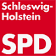 Jusos in der SPD, Pinneberg, Partei