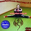 Kampfsportverein Shao Long e.V., Singen, Verein