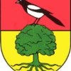 Karnevalsverein Elstra e.V., Elstra, Forening
