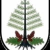 Laußnitzer Karnevalsclub e.V, Laußnitz, Club