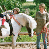 Pferdetr&auml;ume - Urlaub mit Pferd, Nordwestuckermark, Ferienwohnung