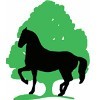 Reitverein Lindenh&ouml;he e.V.