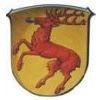 Stadt Hirschhorn, Hirschhorn (Neckar), Kommune
