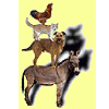 Tiere in Not e.V.