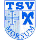 TSV Morsum, Thedinghausen, Verein
