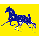 Verein für Pferderennen, Drochtersen, Club