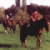 Reiten in Brandenburg