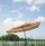 Ausflugsziel Lütjensee